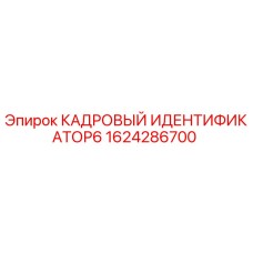 1624286700 КАДРОВЫЙ ИДЕНТИФИКАТОР6 Epiroc