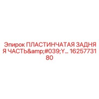 1625773180 ПЛАСТИНЧАТАЯ ЗАДНЯЯ ЧАСТЬ Y Epiroc