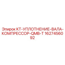1627456092 KT-УПЛОТНЕНИЕ-ВАЛА-КОМПРЕССОР-QMB-T Epiroc