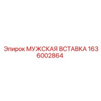 1636002864 МУЖСКАЯ ВСТАВКА Epiroc