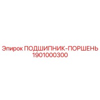1901000300 ПОДШИПНИК-ПОРШЕНЬ Epiroc