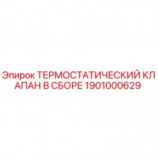 1901000629 ТЕРМОСТАТИЧЕСКИЙ КЛАПАН В СБОРЕ Epiroc