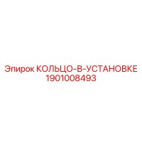 1901008493 КОЛЬЦО-В-УСТАНОВКЕ Epiroc