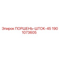 1901073605 ПОРШЕНЬ-ШТОК-45 Epiroc