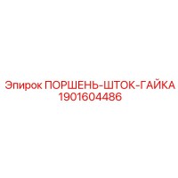 1901604486 ПОРШЕНЬ-ШТОК-ГАЙКА Эпирок