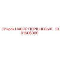 1901606300 НАБОР ПОРШНЕВЫХ ДЛЯ КОМПРЕССОРА Epiroc