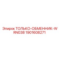 1901608271 ТОЛЬКО-ОБМЕННИК-WRN038 Epiroc