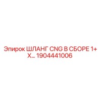 1904441006 CNG Hose Assembly 1+ X Epiroc