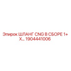 1904441006 CNG Hose Assembly 1+ X Epiroc