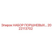 2022113702 НАБОР ПОРШНЕВЫХ Epiroc