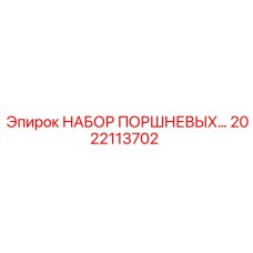 2022113702 НАБОР ПОРШНЕВЫХ Epiroc
