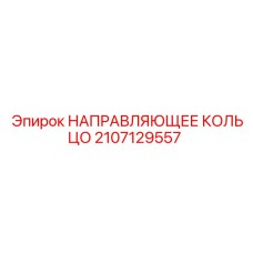 2107129557 НАПРАВЛЯЮЩЕЕ КОЛЬЦО Epiroc