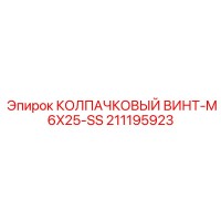 211195923 КОЛПАЧКОВЫЙ ВИНТ-M6X25-SS Epiroc