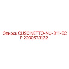2200573122 CUSCINETTO-NU-311-ECP Epiroc