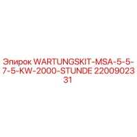 2200902331 WARTUNGSKIT-MSA-5-5-7-5-KW-2000-STUNDE Epiroc