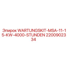 2200902334 WARTUNGSKIT-MSA-11-15-KW-4000-STUNDEN Epiroc