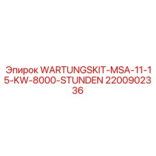 2200902336 WARTUNGSKIT-MSA-11-15-KW-8000-STUNDEN Epiroc