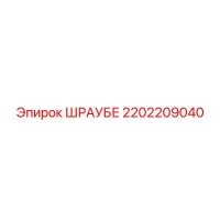 2202209040 ШРАУБЕ Epiroc