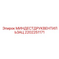 2202251171 МИНДЕСТДРУКВЕНТИЛЬЗАЦ Epiroc