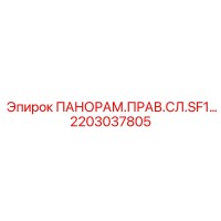 2203037805 ПАНОРАМ.ПРАВ.СЛ.SF1 Epiroc