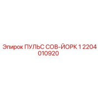 2204010920 ПУЛЬС СОВ-ЙОРК 1 Epiroc