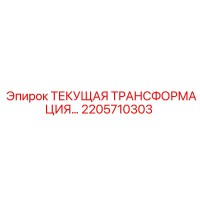 2205710303 ТЕКУЩАЯ ТРАНСФОРМАЦИЯ Epiroc