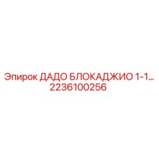2236100256 ДАДО БЛОКАДЖИО 1-1… Epiroc