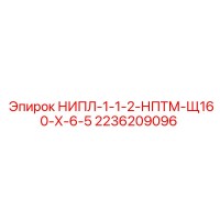 2236209096 НИПЛ-1-1-2-НПТМ-Щ160-Х-6-5 Эпирок (Epiroc)