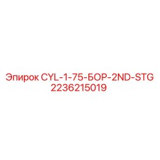 2236215019 CYL-1-75-БОР-2ND-STG Epiroc