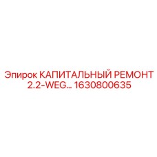 1630800635 КАПИТАЛЬНЫЙ РЕМОНТ 2.2-WEG Epiroc