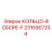 2310067254 КОЛЬЦО-В СБОРЕ-F Epiroc