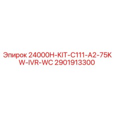 2901913300 24000H-KIT-C111-A2-75KW-IVR-WC Epiroc