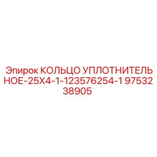 9753238905 КОЛЬЦО УПЛОТНИТЕЛЬНОЕ-25X4-1-123576254-1 Epiroc