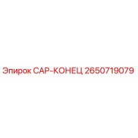 2650719079 CAP-КОНЕЦ Epiroc