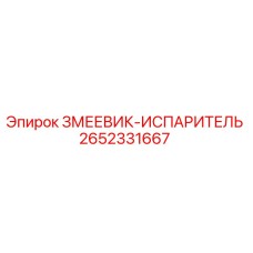 2652331667 ЗМЕЕВИК-ИСПАРИТЕЛЬ Epiroc