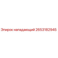 2653182945 нападающий Эпирок