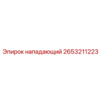 2653211223 нападающий Эпирок
