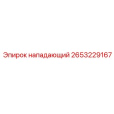 2653229167 нападающий Эпирок