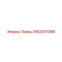 2653251088 Ловец Epiroc