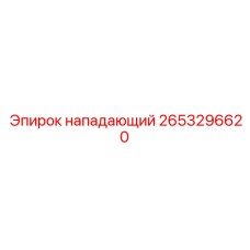 2653296620 нападающий Эпирок