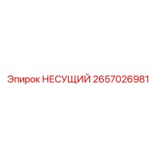 2657026981 НЕСУЩИЙ Epiroc