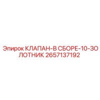 2657137192 КЛАПАН-В СБОРЕ-10-ЗОЛОТНИК Epiroc