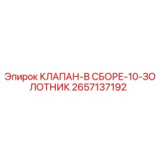 2657137192 КЛАПАН-В СБОРЕ-10-ЗОЛОТНИК Epiroc