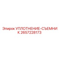 2657228173 УПЛОТНЕНИЕ-СЪЕМНИК Epiroc