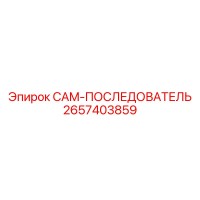 2657403859 CAM-ПОСЛЕДОВАТЕЛЬ Epiroc