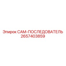2657403859 CAM-ПОСЛЕДОВАТЕЛЬ Epiroc