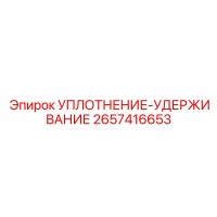 2657416653 УПЛОТНЕНИЕ-УДЕРЖИВАНИЕ Epiroc