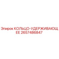 2657486847 КОЛЬЦО-УДЕРЖИВАЮЩЕЕ Epiroc
