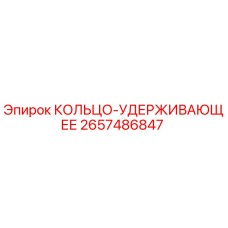 2657486847 КОЛЬЦО-УДЕРЖИВАЮЩЕЕ Epiroc
