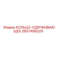 2657499329 КОЛЬЦО-УДЕРЖИВАЮЩЕЕ Epiroc